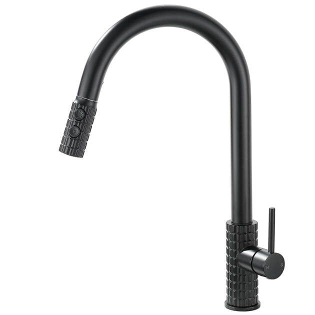 Pull, Spray, Admire: Black Intricate Carved Pull Out Kitchen Mixer Faucet